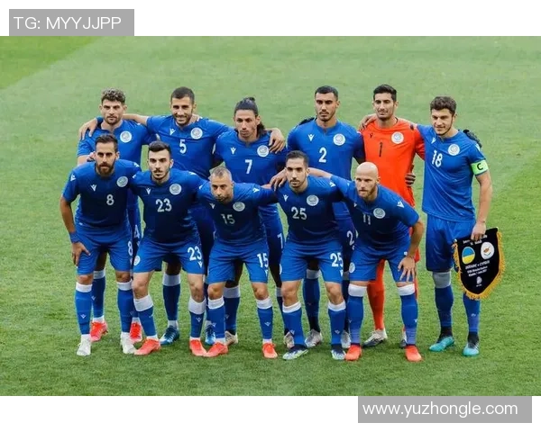 波黑足球明星的崛起与成就探讨