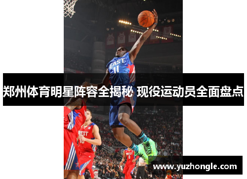 郑州体育明星阵容全揭秘 现役运动员全面盘点